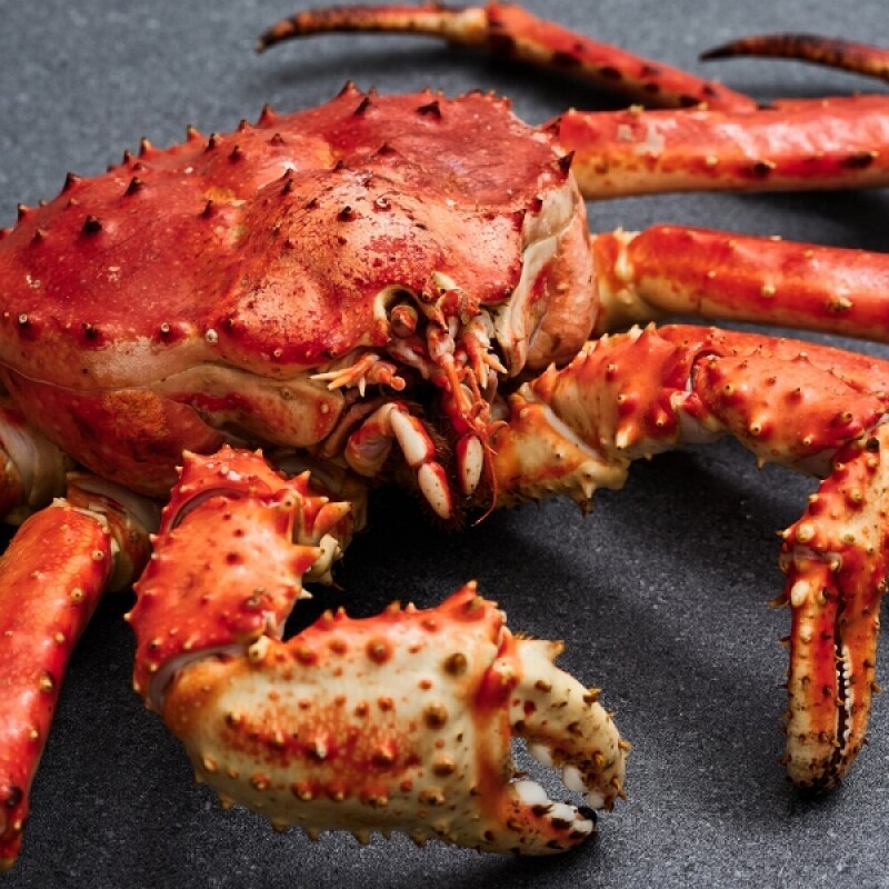 크랩이츠, 러시아대게, 자숙대게, 스노우크랩, 킹크랩, 섹션대게, 대게선어, 라이브대게, 활대게, 대게, 박달대게